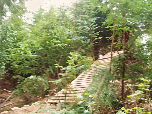 The highly dangerous black route ramp at Haldon Forest Park.