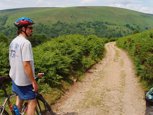 The track from Bonehill to Natsworthy, en route to Widecombe.