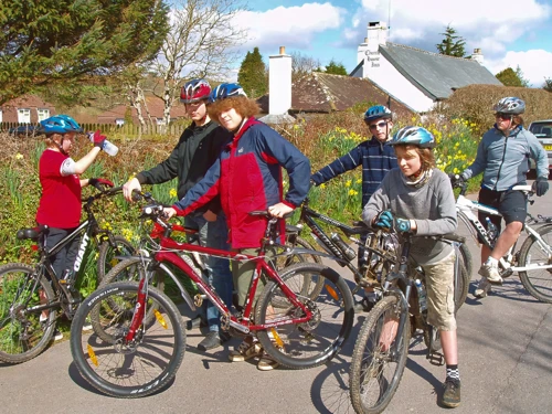 Spring flowers in Rattery