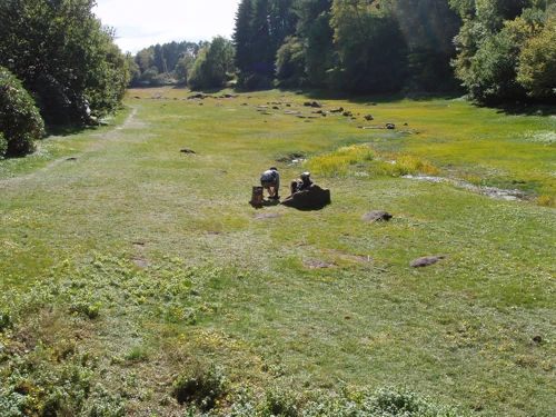 The completely drained upper section of Tottiford Reservoir.