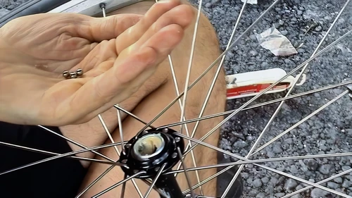 Tao gets his bearings.