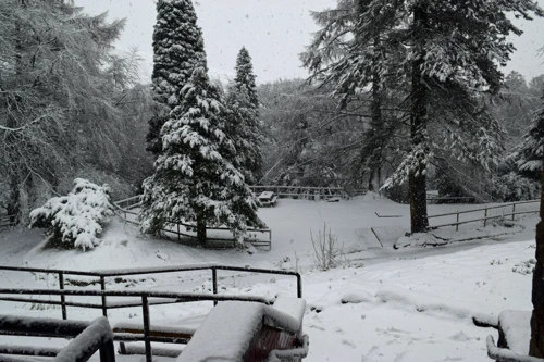 View across Edale Youth Hostel’s front grounds before breakfast.