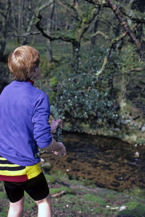 Richard Burge tries to dislodge the dead branch with a fallen limb by Glaze Brook, near Owley.