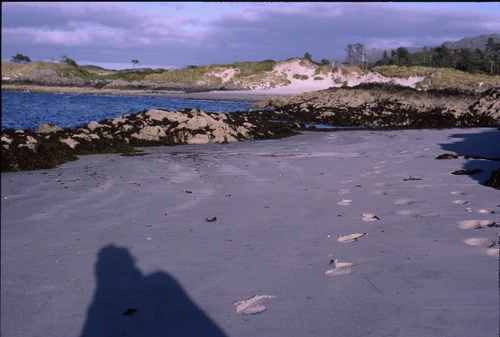 Tracks in the clean sand, Camusdarach's north-eastern sweep.