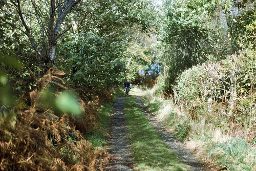 Mark S on the upper section of the track from Cranbrook Castle to Fingle Bridge.