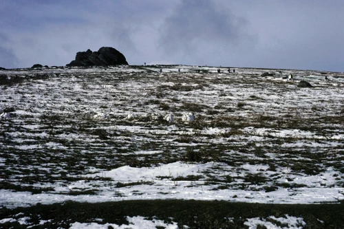 Summer-sized crowds revel in the Haytor snow.