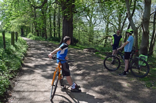 Tao finishes his coffee after lunch, perched on an old tree stump