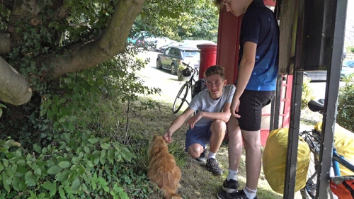 George makes a new furry friend in Gosforth