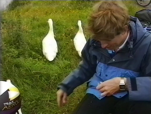 Michael with the ducks opposite Mrs Fergusson's B&B.