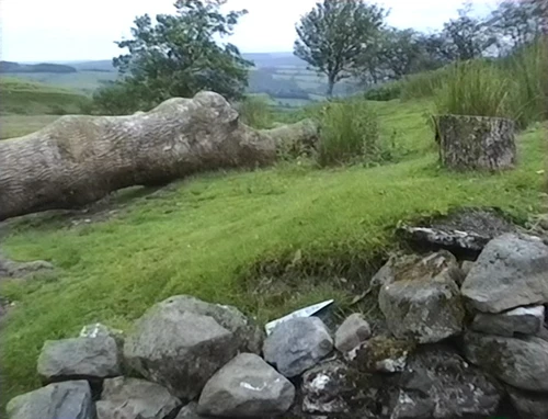 View from Bryn Poeth Uchaf’s front door, showing the only access path.