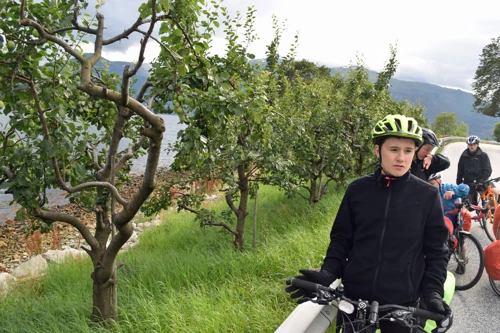 12 Aug 2017 · Norway: Day 5: Mjølfjell to Sogndal YH
