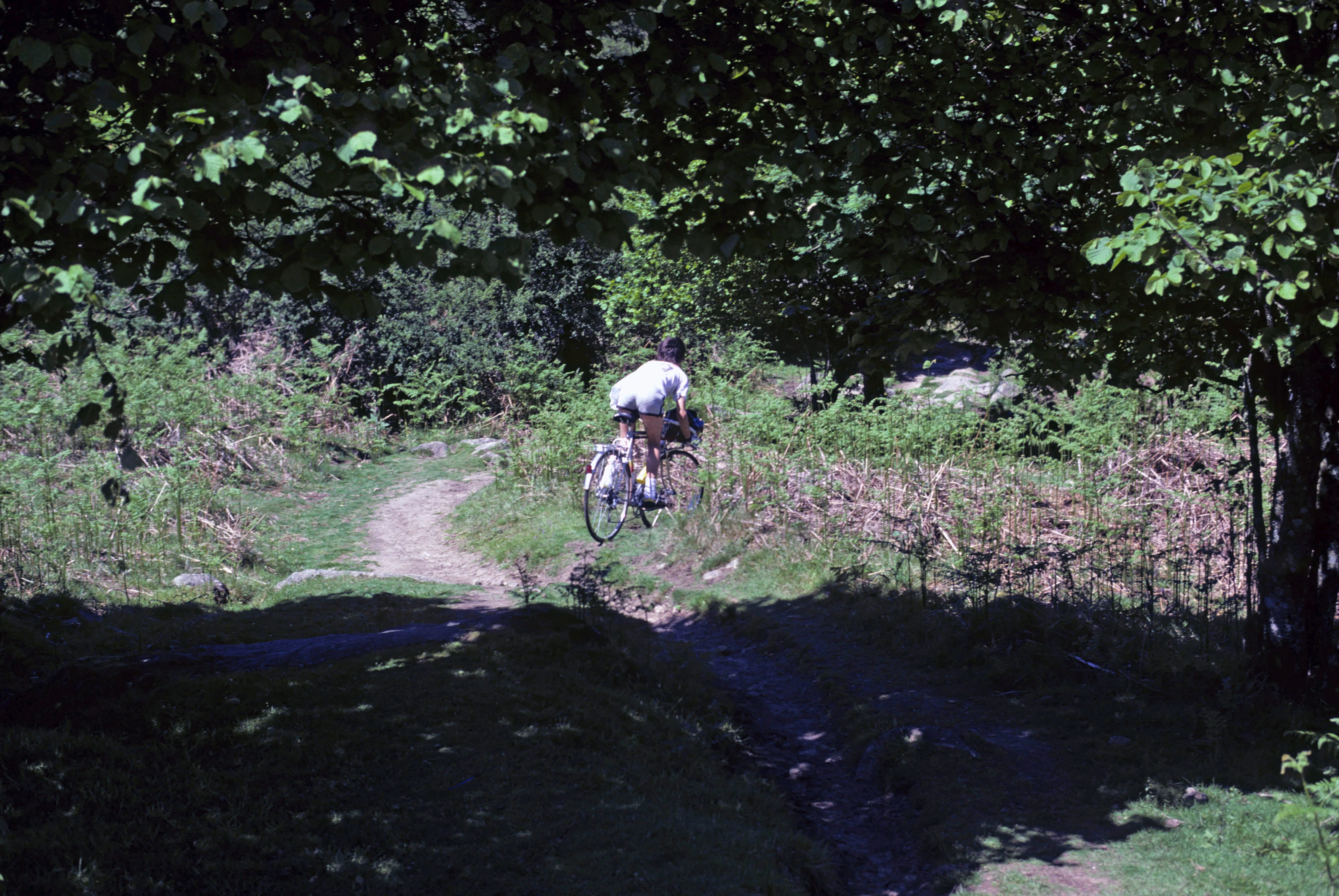 Craig navigating the twisty track at the bottom of moorland descent from Haytor Down, approaching the footbridge over the Becka Brook