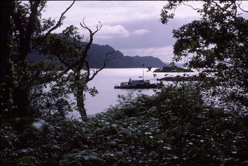 21 Aug 1988 · Converted wooden motor cruiser anchored on Loch nan Uamh, framed by roadside trees. 33 miles in.