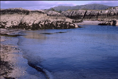 21 Aug 1988 · Tidal pool and ridged gneiss, south-west end of Camusdarach.