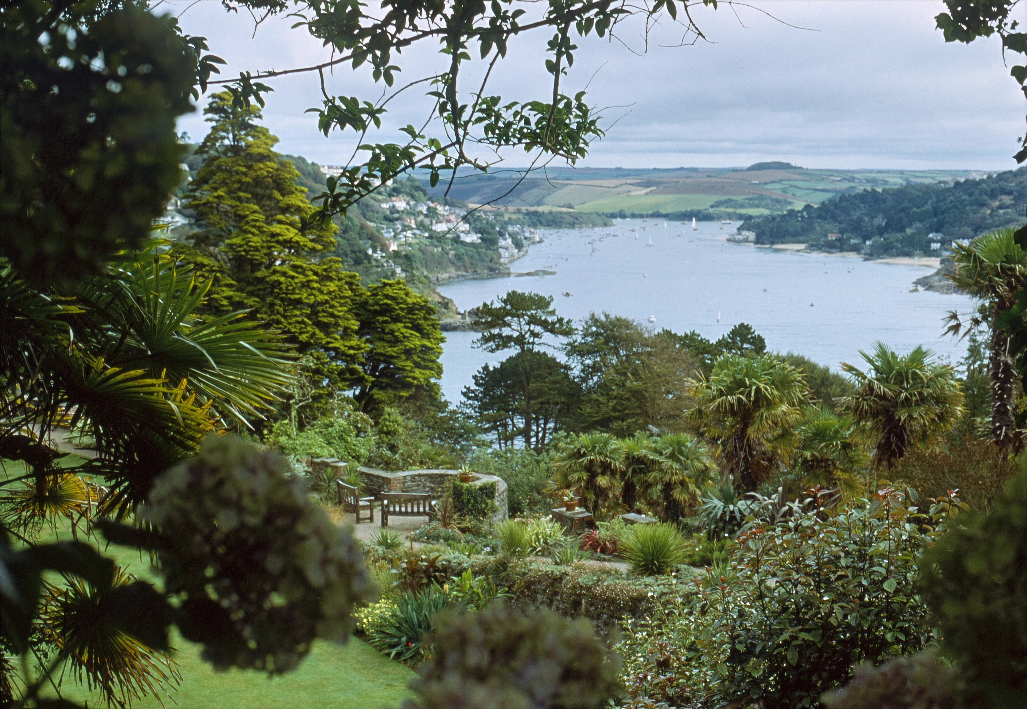 View of Salcombe Harbour from the hostel entrance at Overbeck’s subtropical gardens.