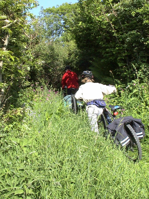 22 May 2004 · Salcombe: Day 1