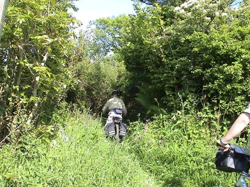 22 May 2004 · Salcombe: Day 1