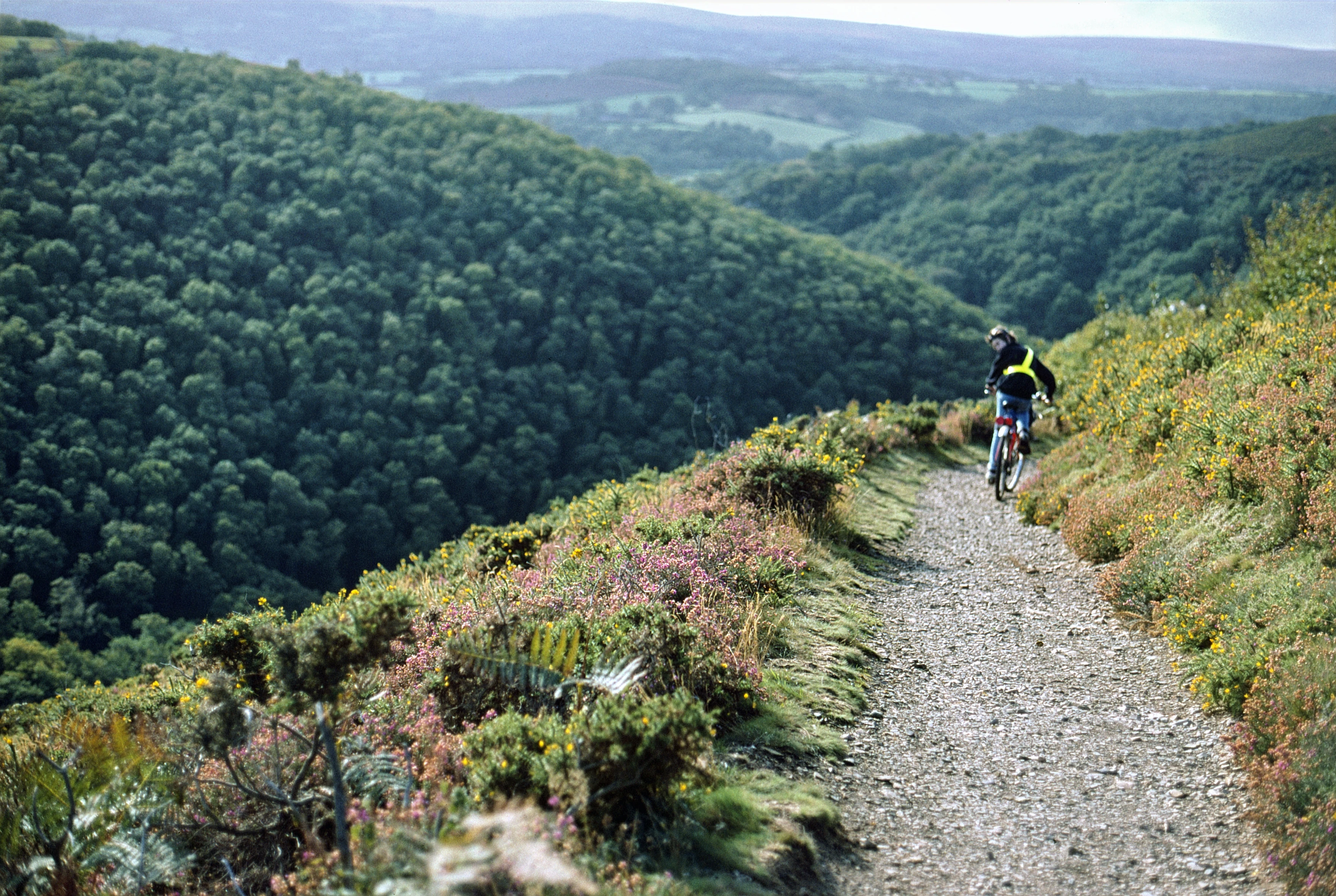 Luke Hatherly descending Hunters' Path near Castle Drogo.