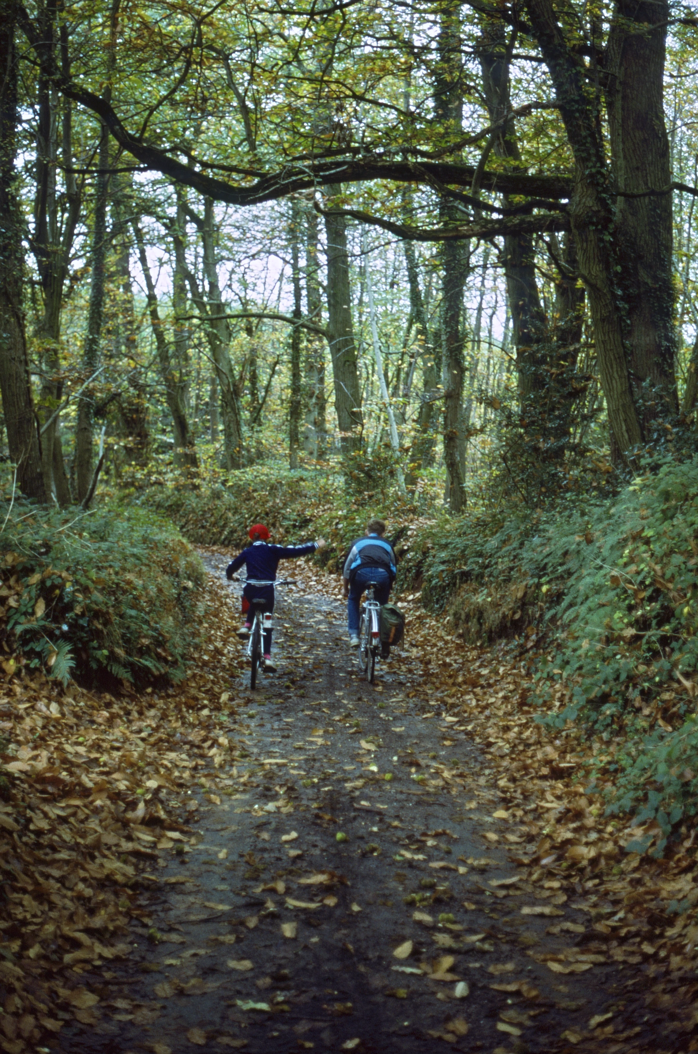 Paul Ledingham and Mark Slater on a delightful wooded lane by Haydon Common, approaching Middle Haydon Cottages.