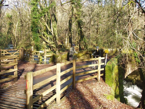16 Jan 2005 · Cold East Cross