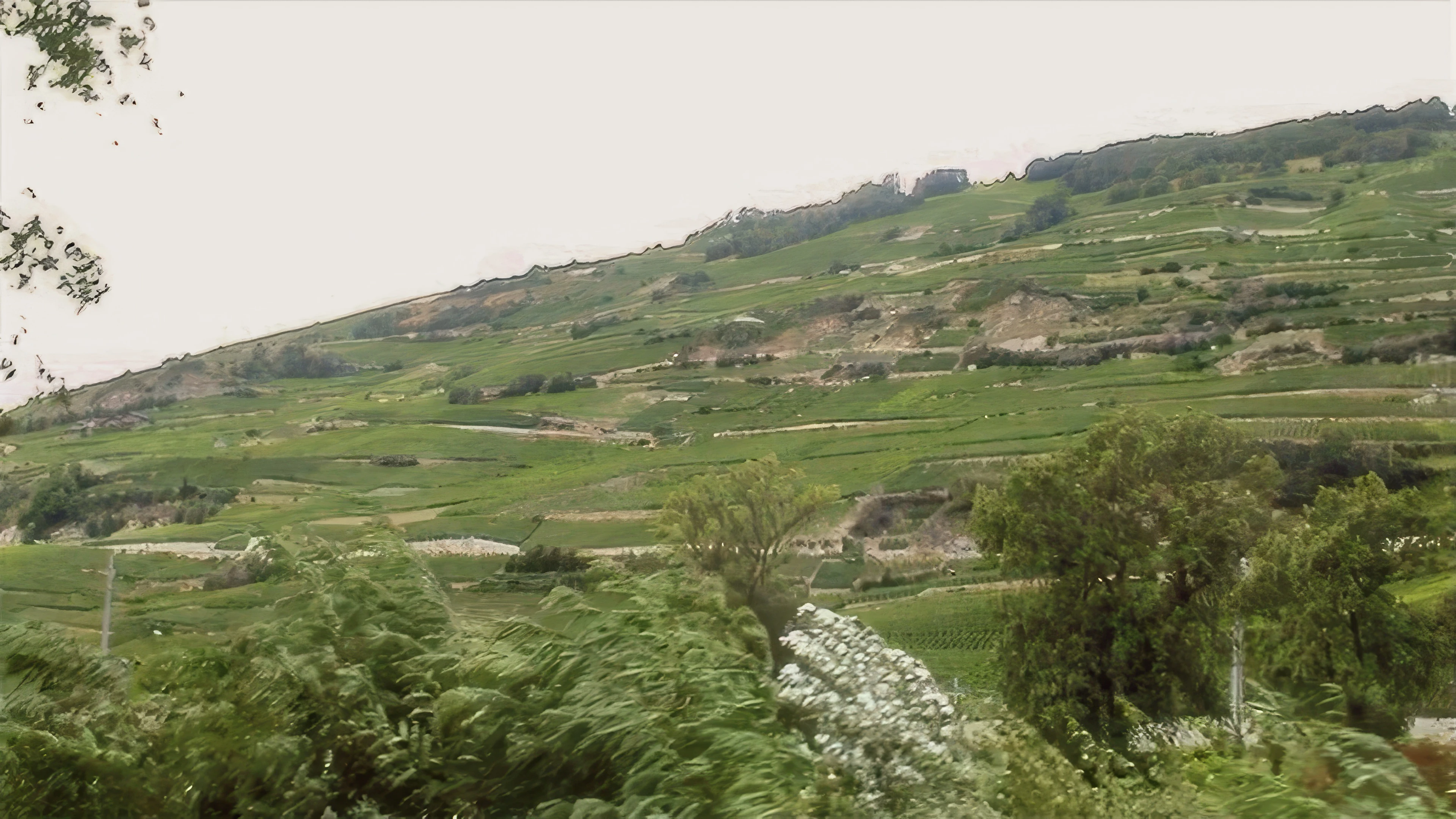 Distinctive landscapes at Corin, between Sierre and Granges, 41.3 miles in.