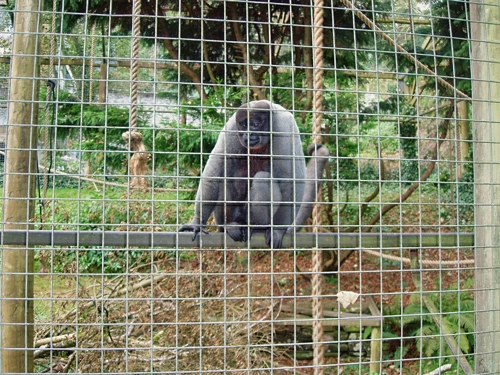 24 Sep 2006 · Golant YH: Day 2