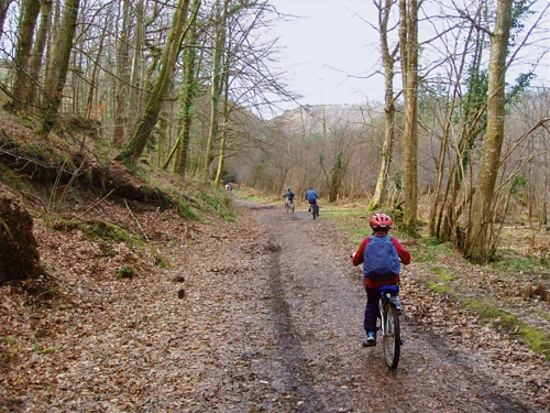 11 Mar 2007 · Fingle Tracks