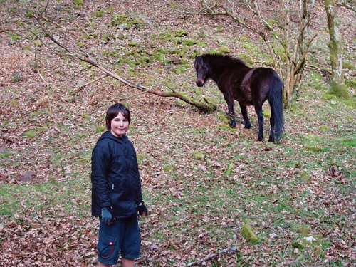 11 Mar 2007 · Fingle Tracks