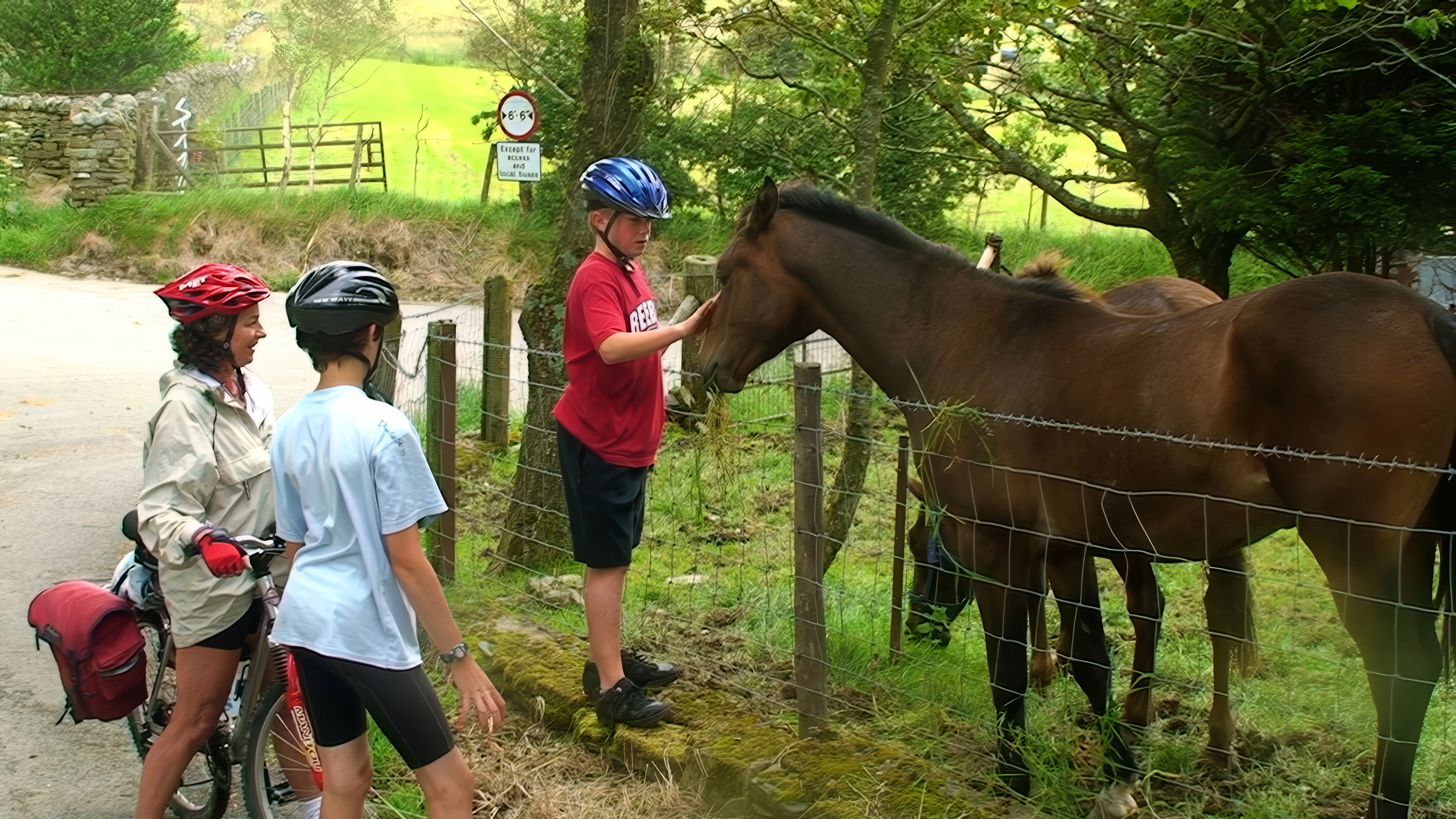 Friendly horses at Fangs Brow Farm, 7.4 miles from the hostel.