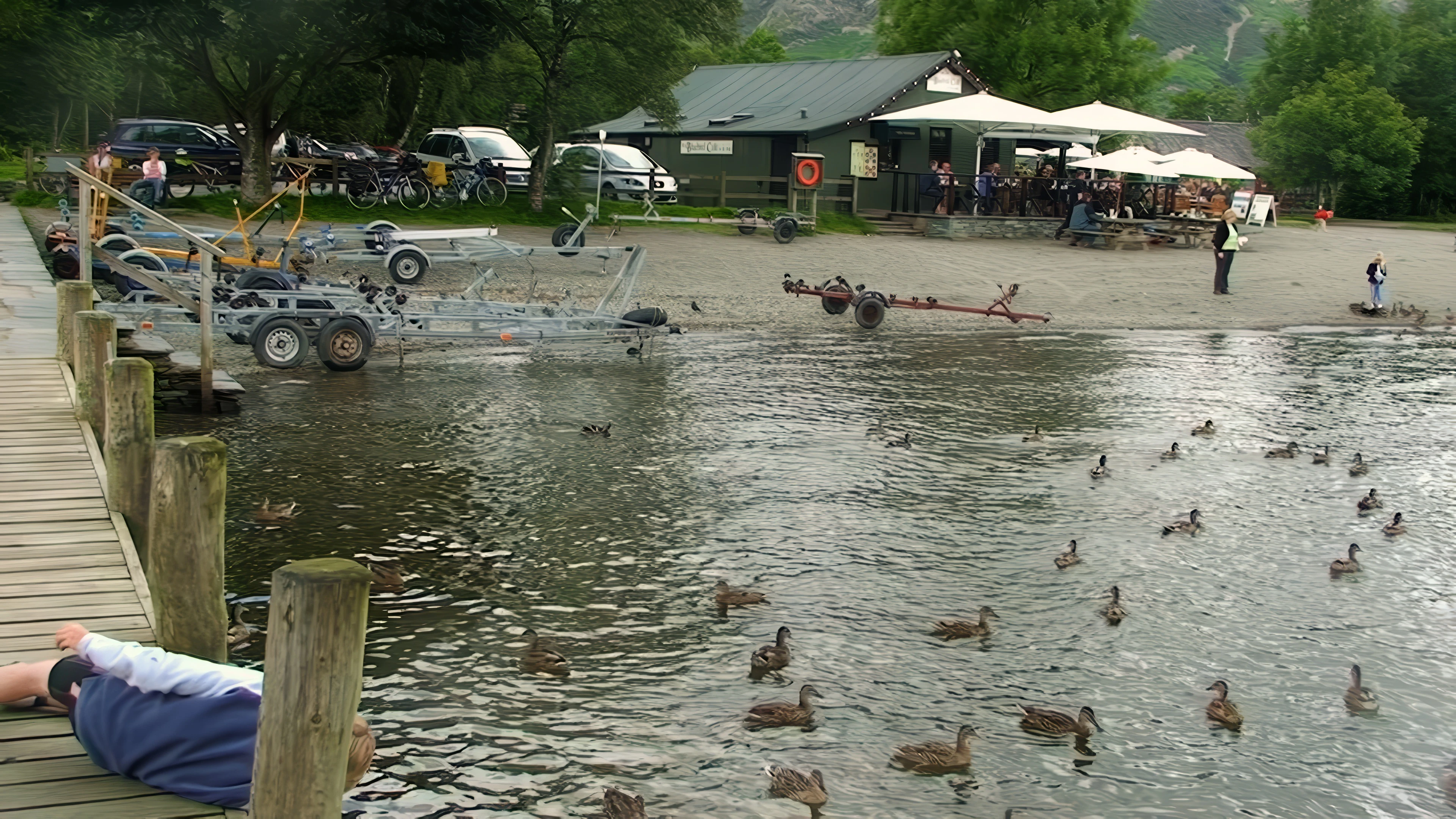 Lunch at Coniston Landing—more ducks than we've ever seen in one place.