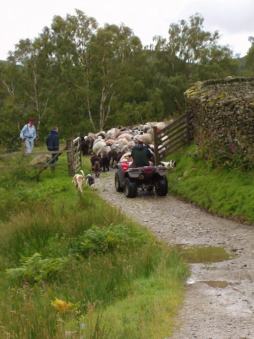 28 Jul 2007 · Lake District: Day 6 Elterwater to Ambleside YH
