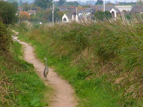30 Sep 2007 · Exeter Ship Canal