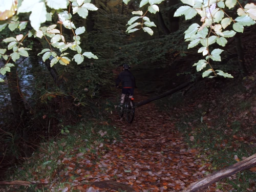 28 Oct 2007 · Stoke Gabriel Weir