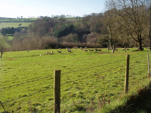 27 Jan 2008 · Bickham Bridge
