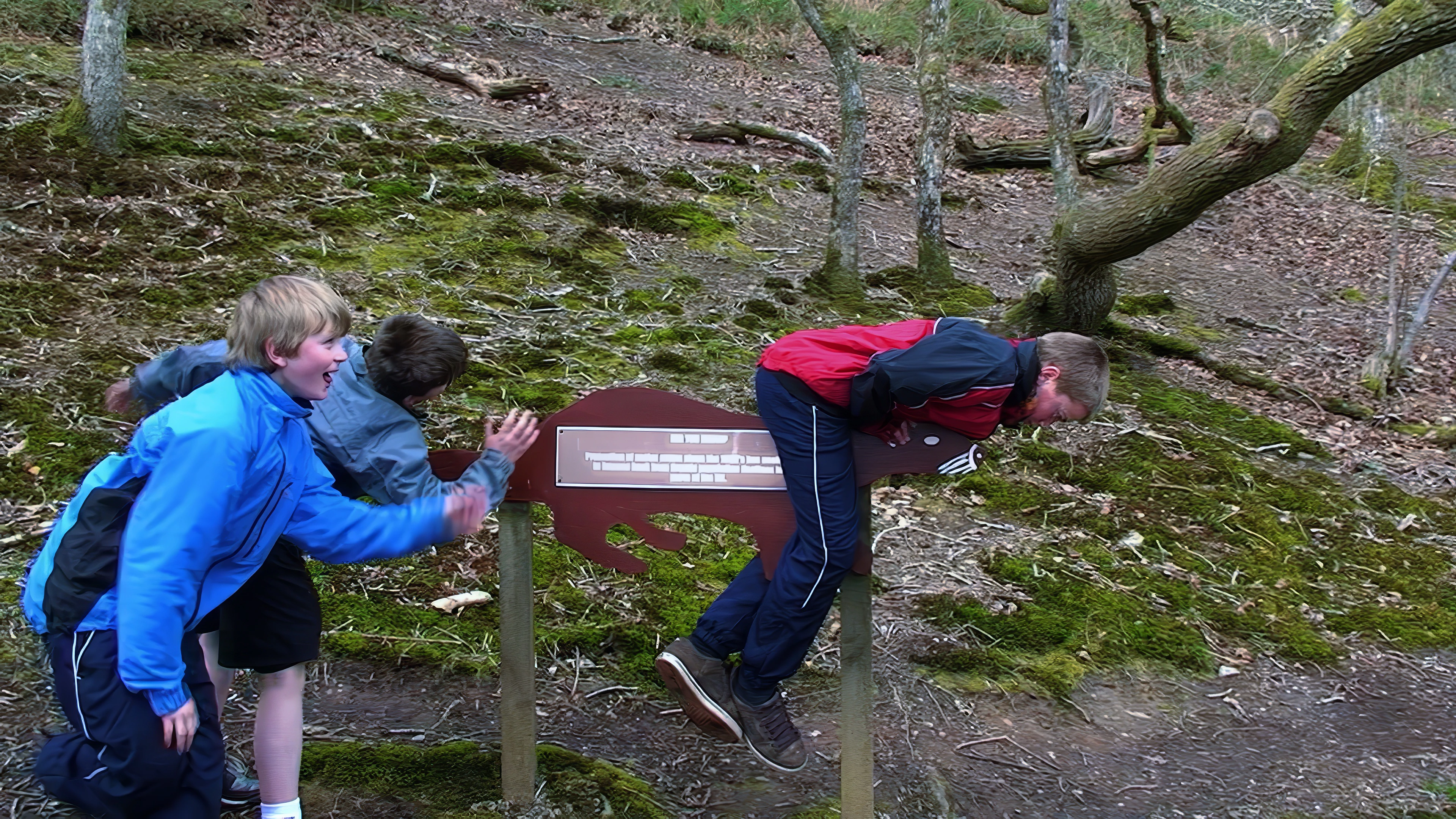 Our naughty youngsters ignore the signs at the Cornish Seal Sanctuary.