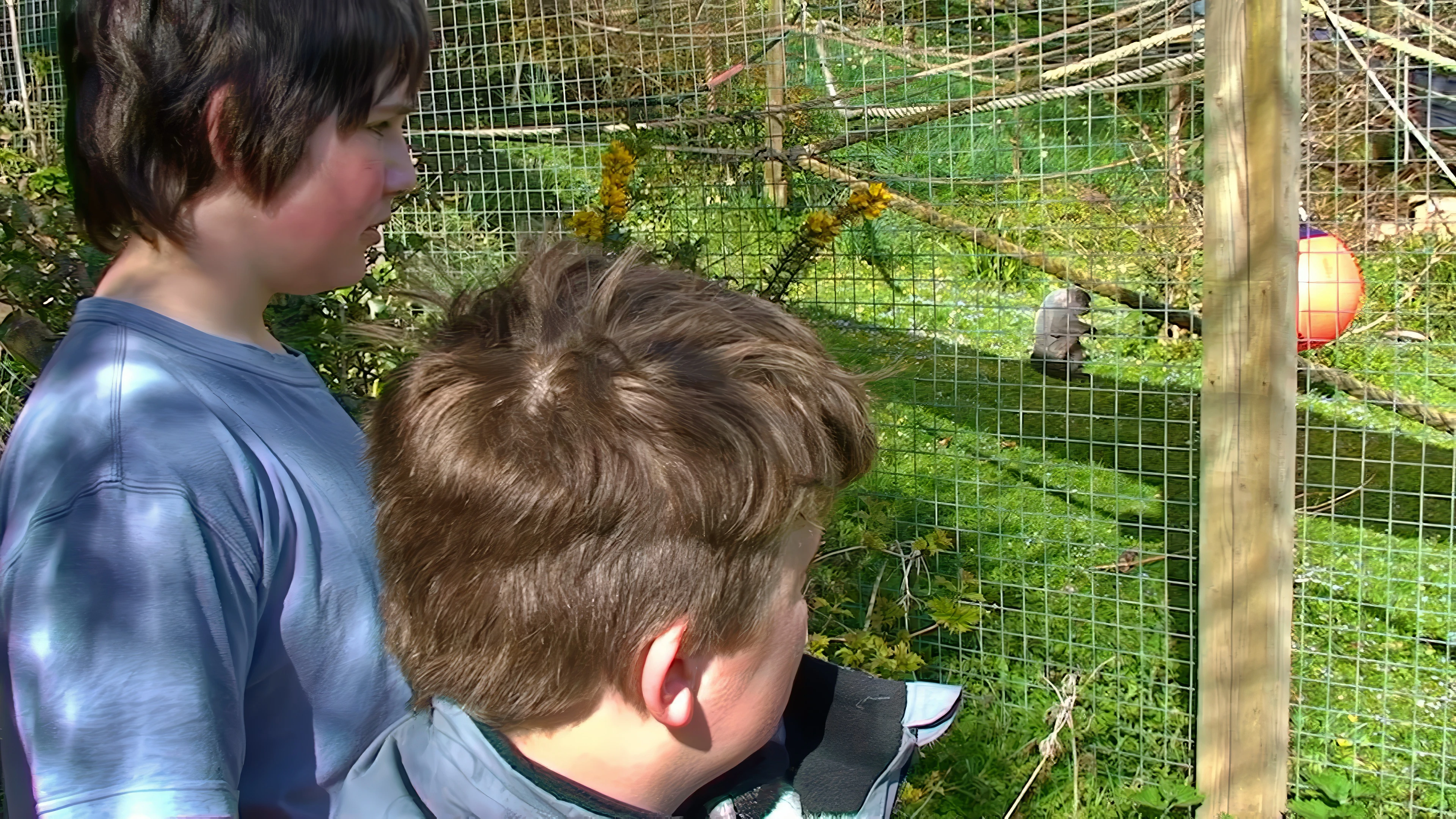 Zac and Ash hear about the woolly monkeys at the Monkey Sanctuary — 16.5 miles in.