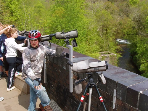 04 May 2008 · Plym Valley Cycleway
