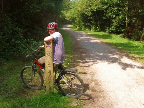 11 May 2008 · Haldon Forest Tracks