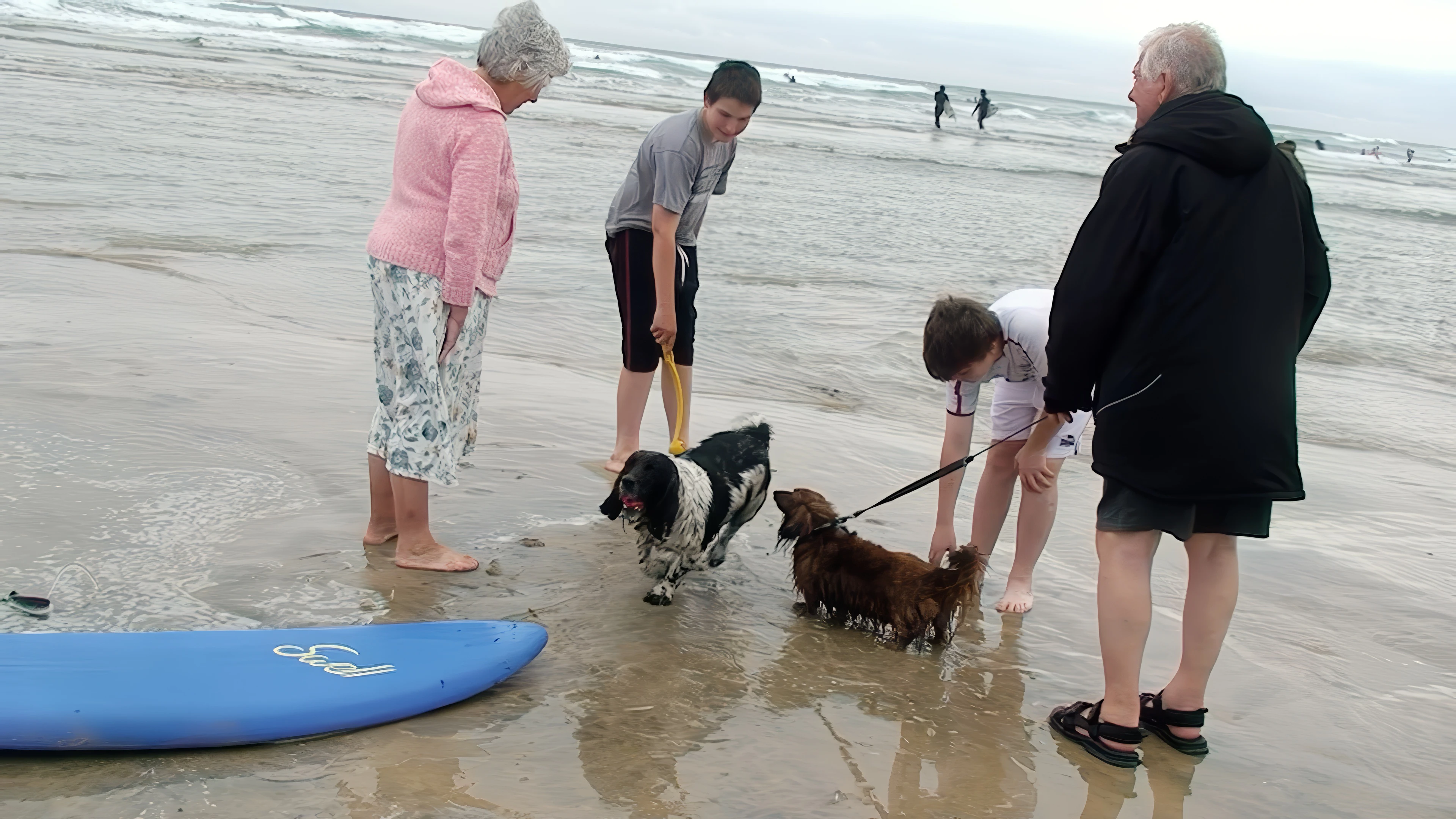 Ash and Zac chat with a couple and their two delightful dogs on Perranporth Beach.