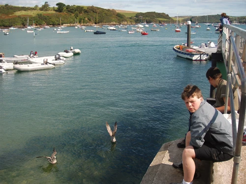 07 Sep 2008 · Salcombe
