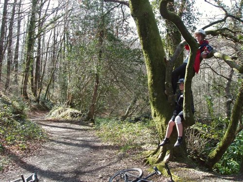 29 Mar 2009 · Hembury Woods