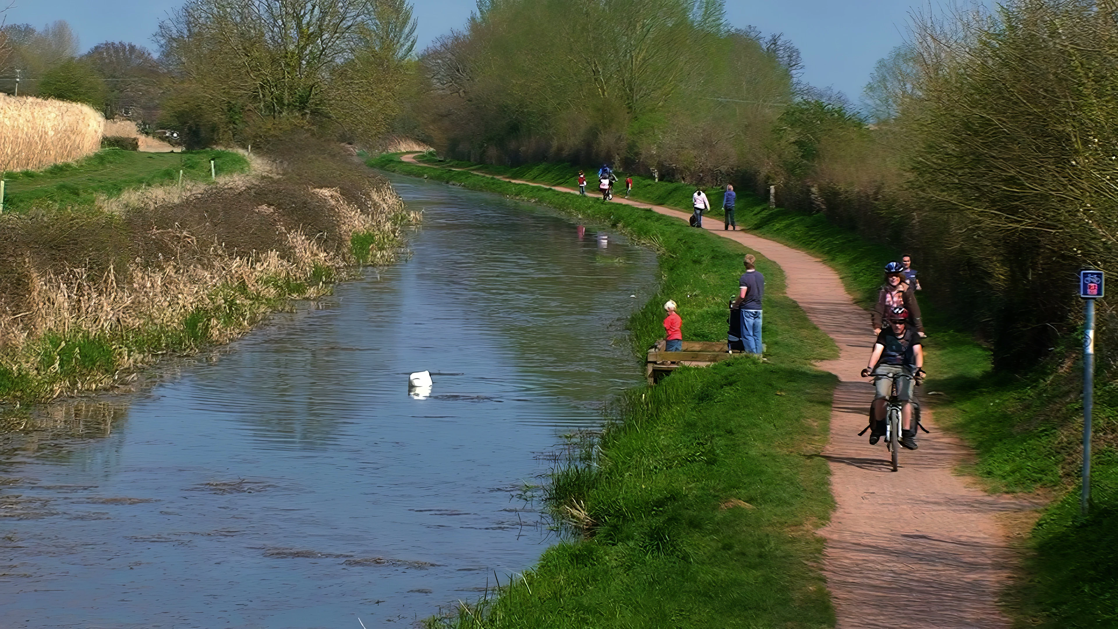 Returning along the Bridgwater and Taunton Canal at Creech St Michael.