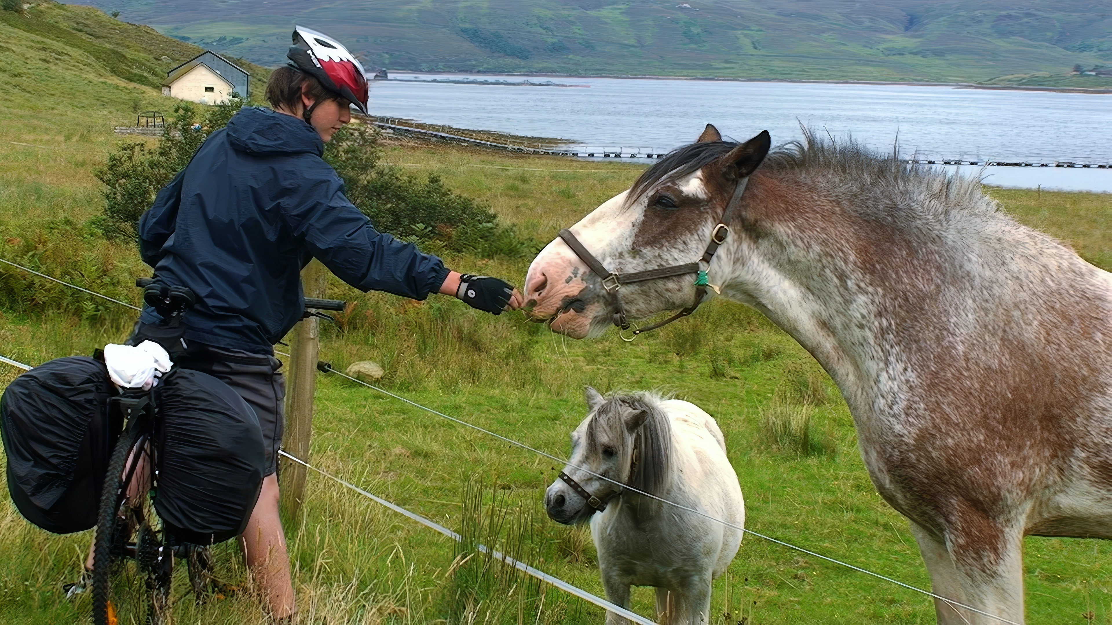 Zac feeds friendly horses on the Luib-Sconser coast road, Loch Ainort.