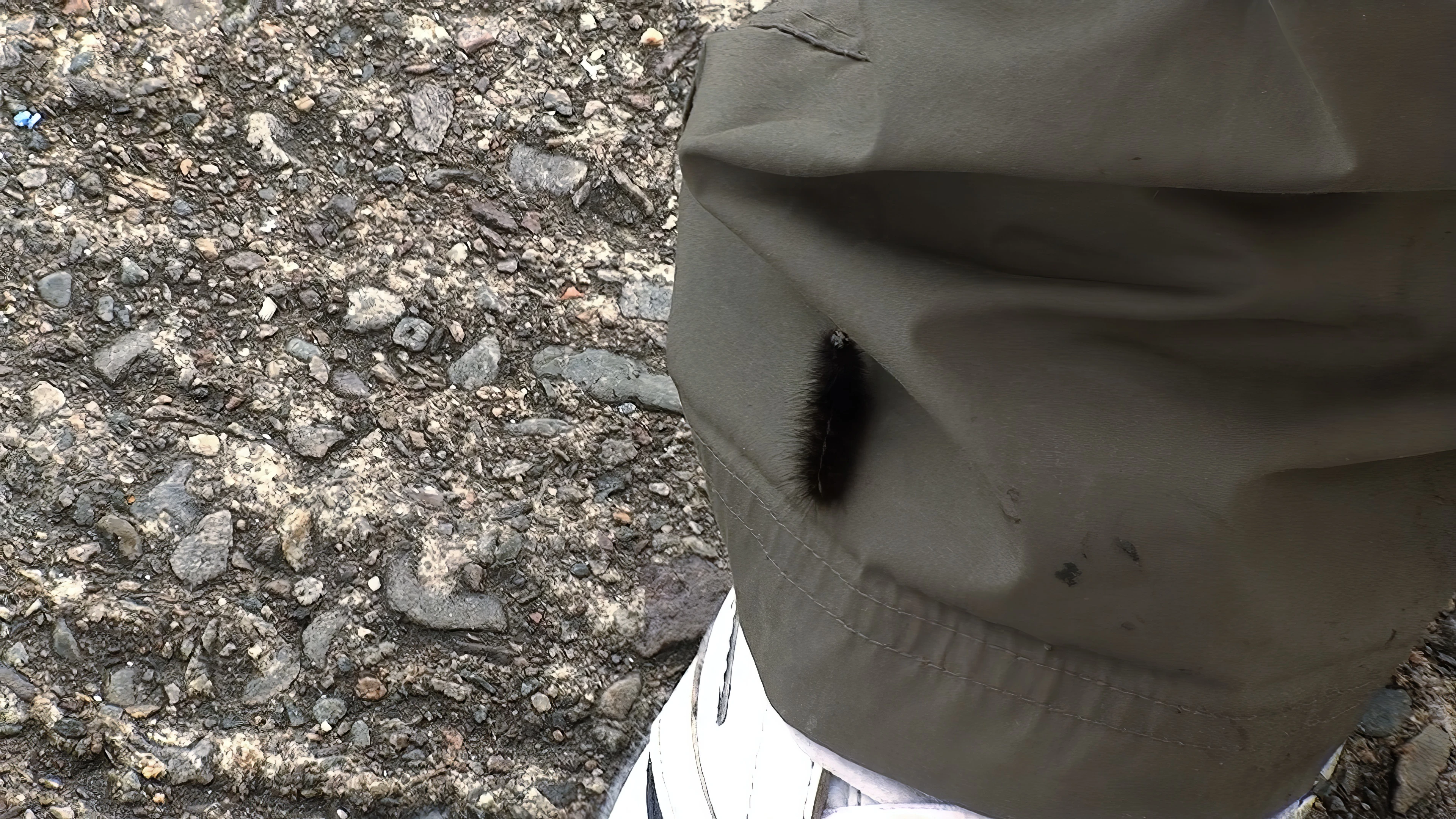 The caterpillar crawling up Ryan's trousers at Sconser Quay.