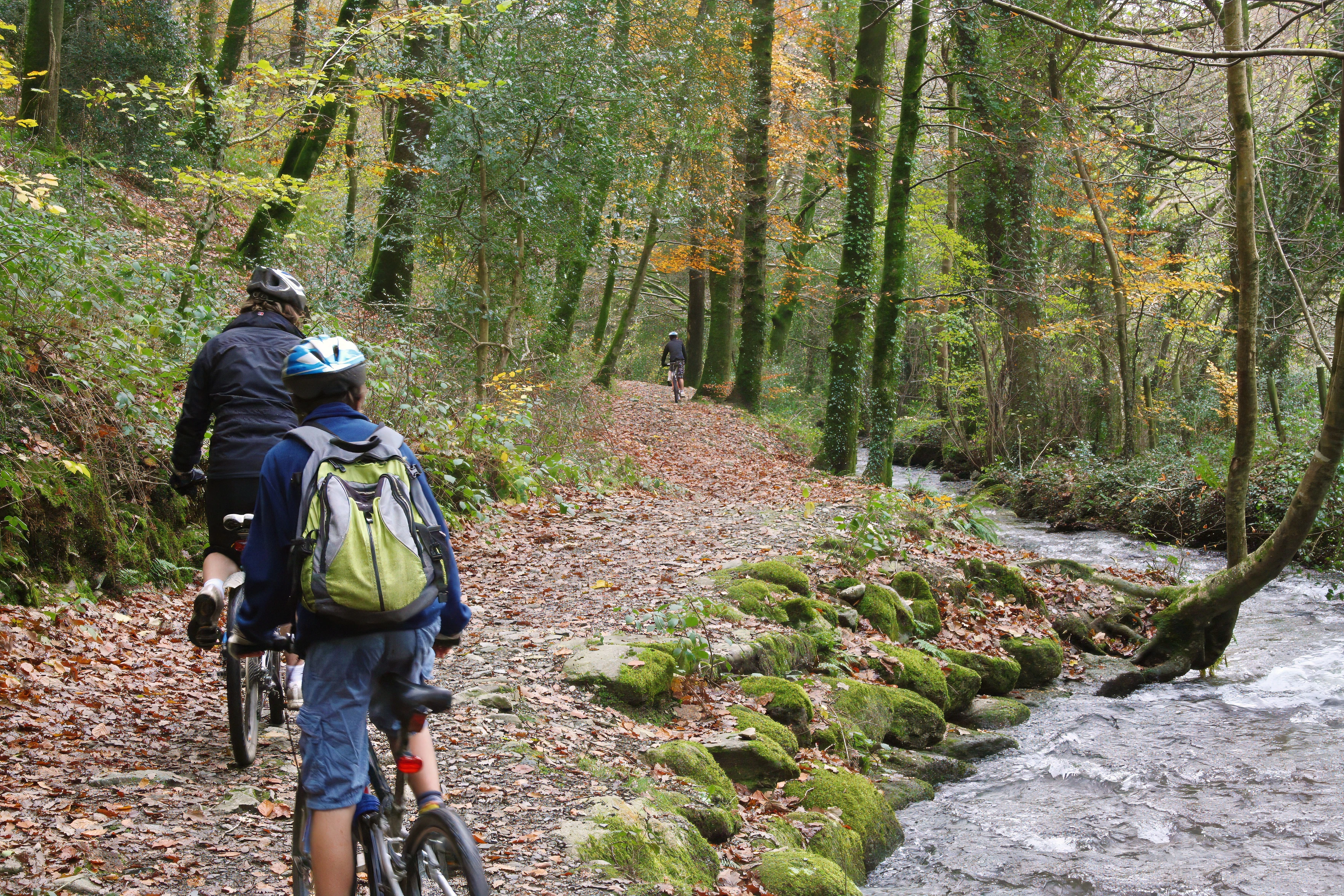 Jack, Ash and Callum enjoy the woodland track near Belford Mill.