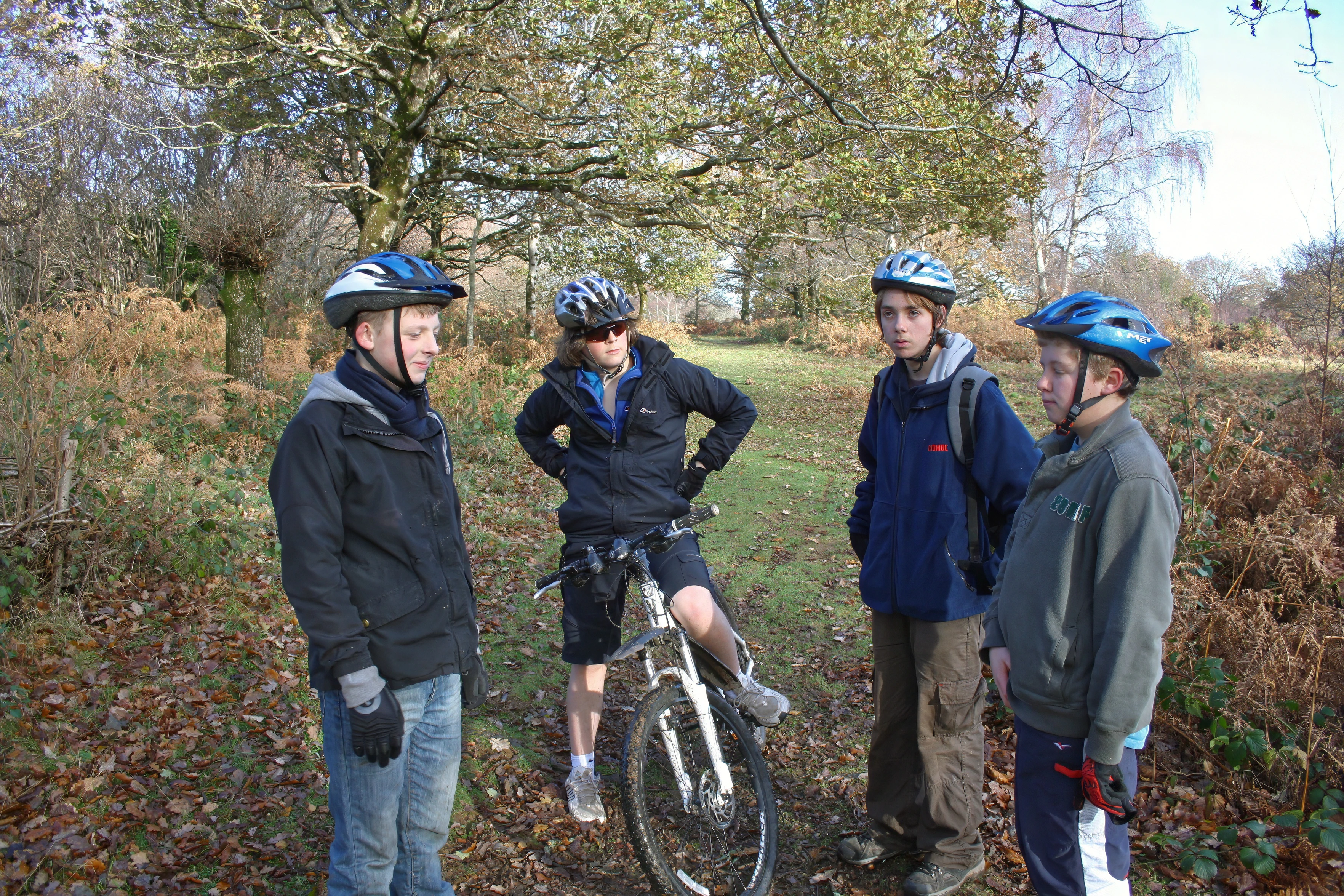 Callum, Ash, Jack and Matt in an upper Hembury Woods glade