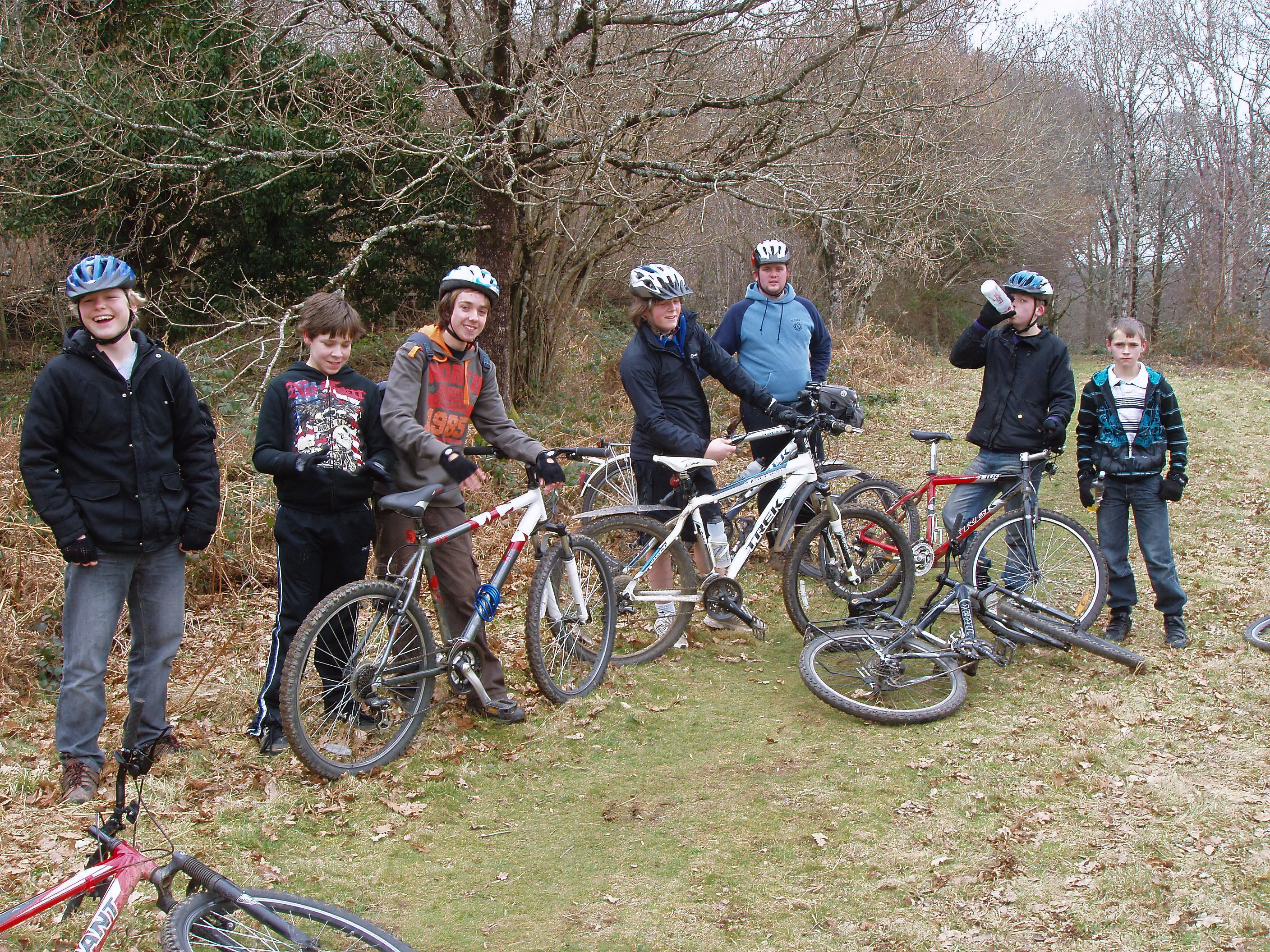 A glade in Hembury Woods