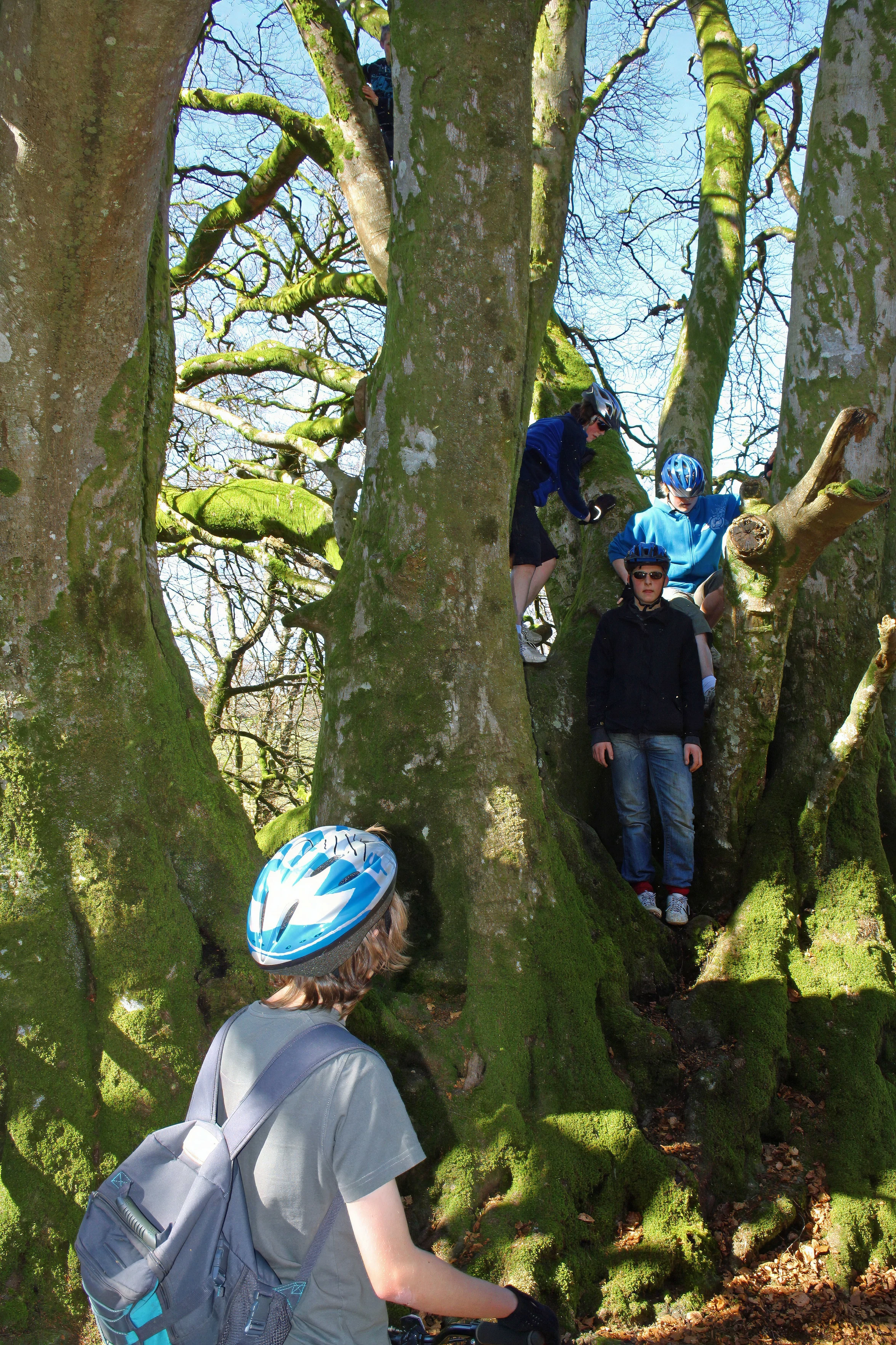 Tree-climbing by the ford at Cross Furzes.