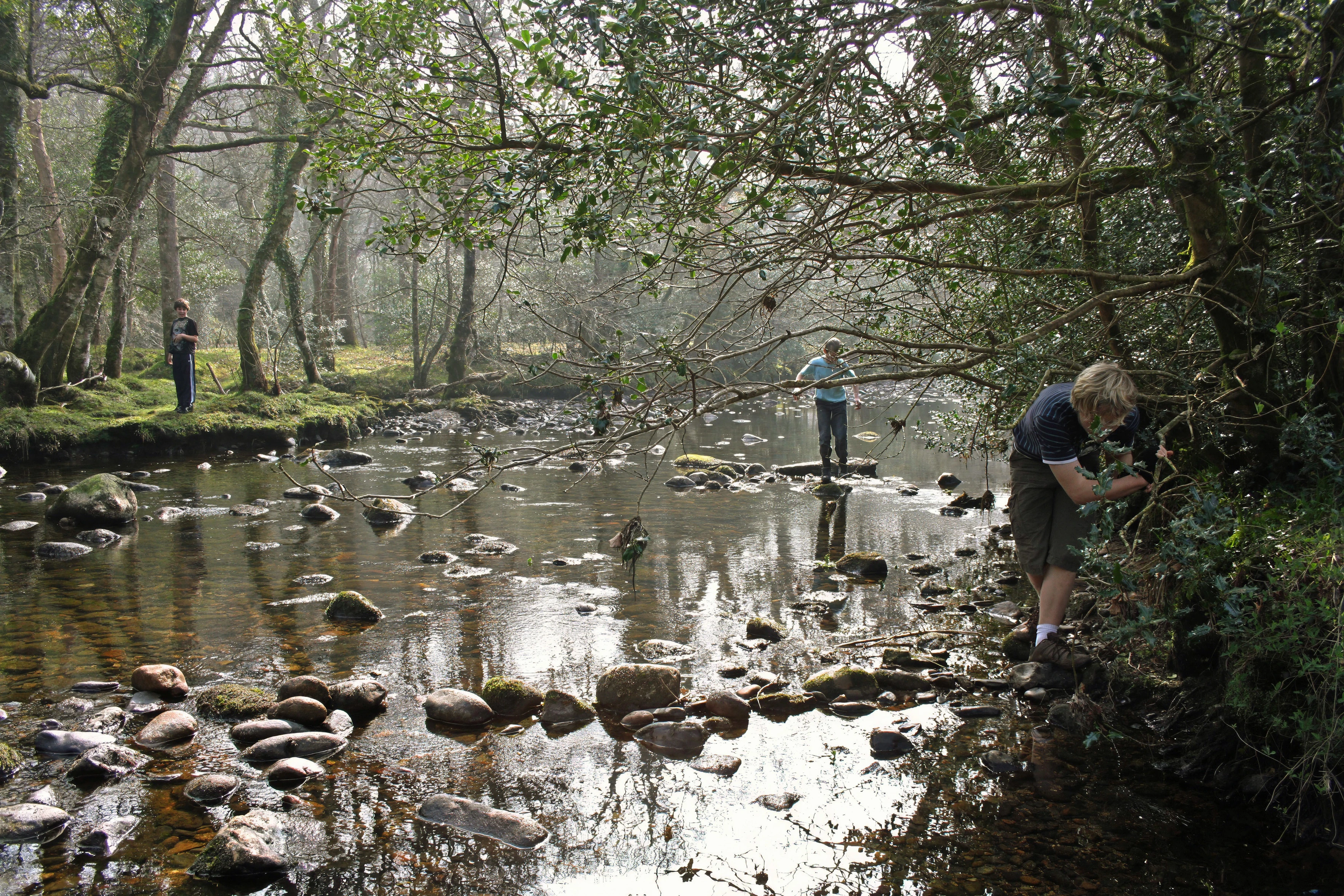 Callum, Connor and Brodie enjoying the River Dart at Spitchwick.