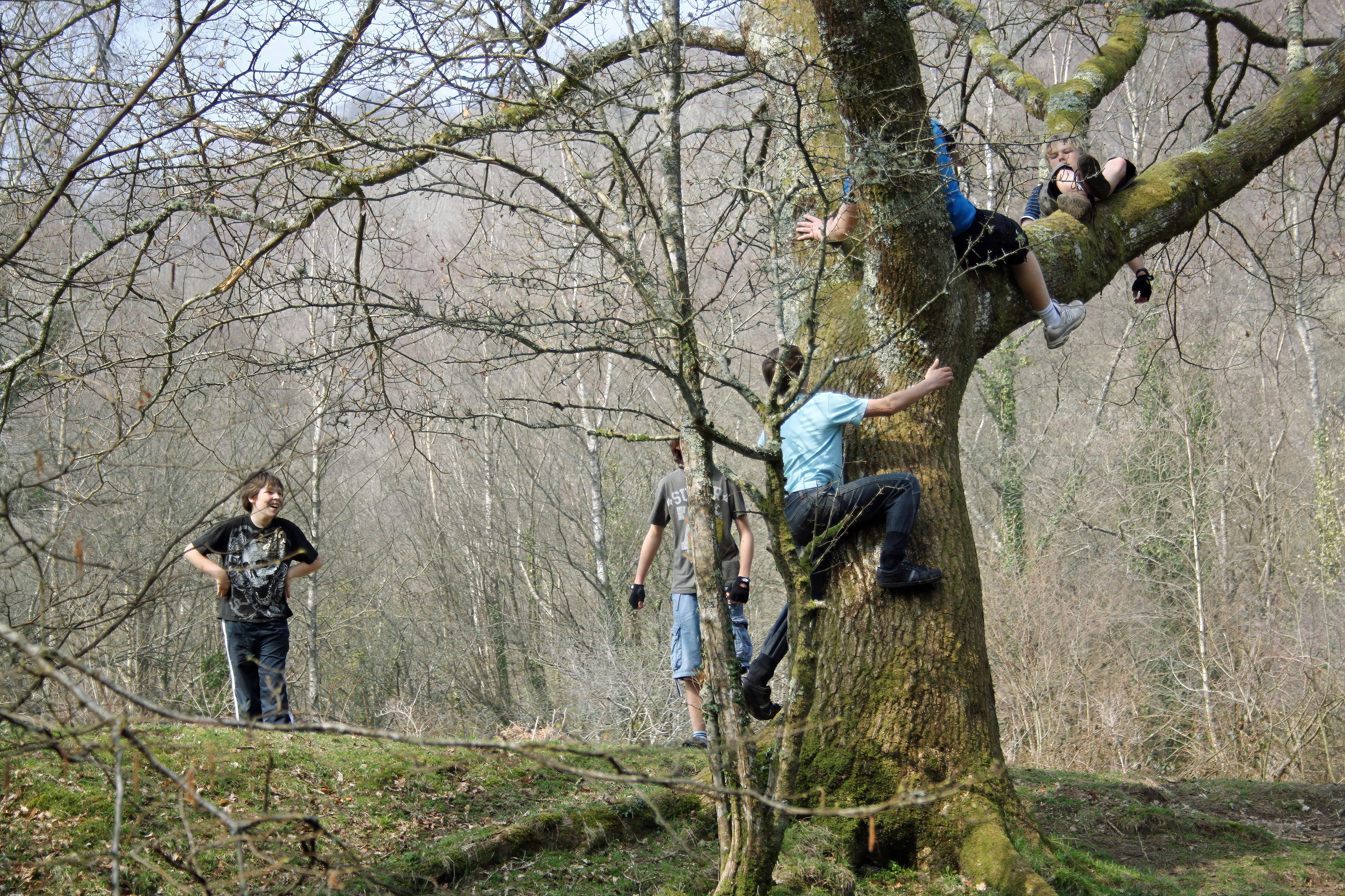 A spot of tree-climbing at Spitchwick Common.